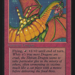 MTG Sealed